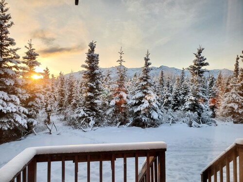 DENALI'S ALASKAN SPRUCE CABINS