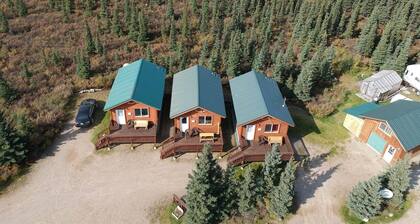 DENALI'S ALASKAN SPRUCE CABINS