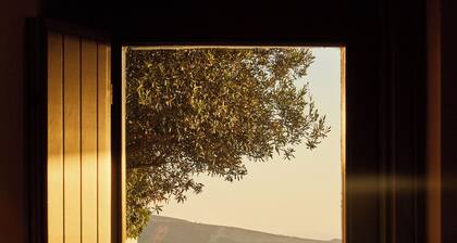 270 Oia's View