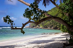 A beach with clear turquoise water, white sand, and a palm tree.