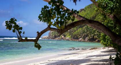 Surfers Self-Catering Chalets