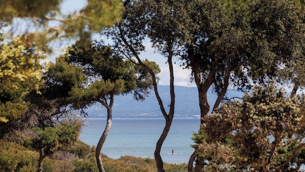 A coastal landscape with trees and a view of the sea. - Le Domaine de la Mer (Hyères)
