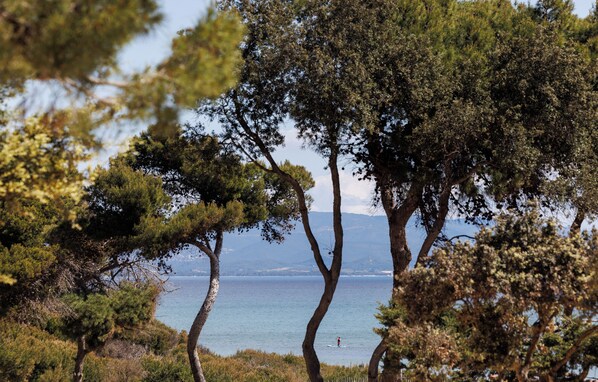 A coastal landscape with trees and a view of the sea. - Le Domaine de la Mer (Hyères)