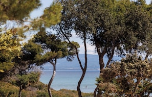 A coastal landscape with trees and a view of the sea. - Le Domaine de la Mer (Hyères)