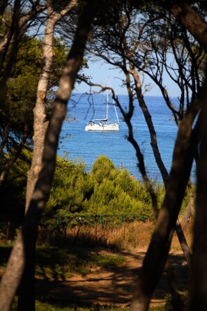 A sailboat on a calm sea, viewed through tree branches. - Le Domaine de la Mer (Hyères)