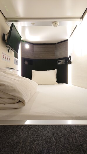 Iron/ironing board, free WiFi, bed sheets - Akihabara BAY HOTEL - Caters to Women (Tokyo)