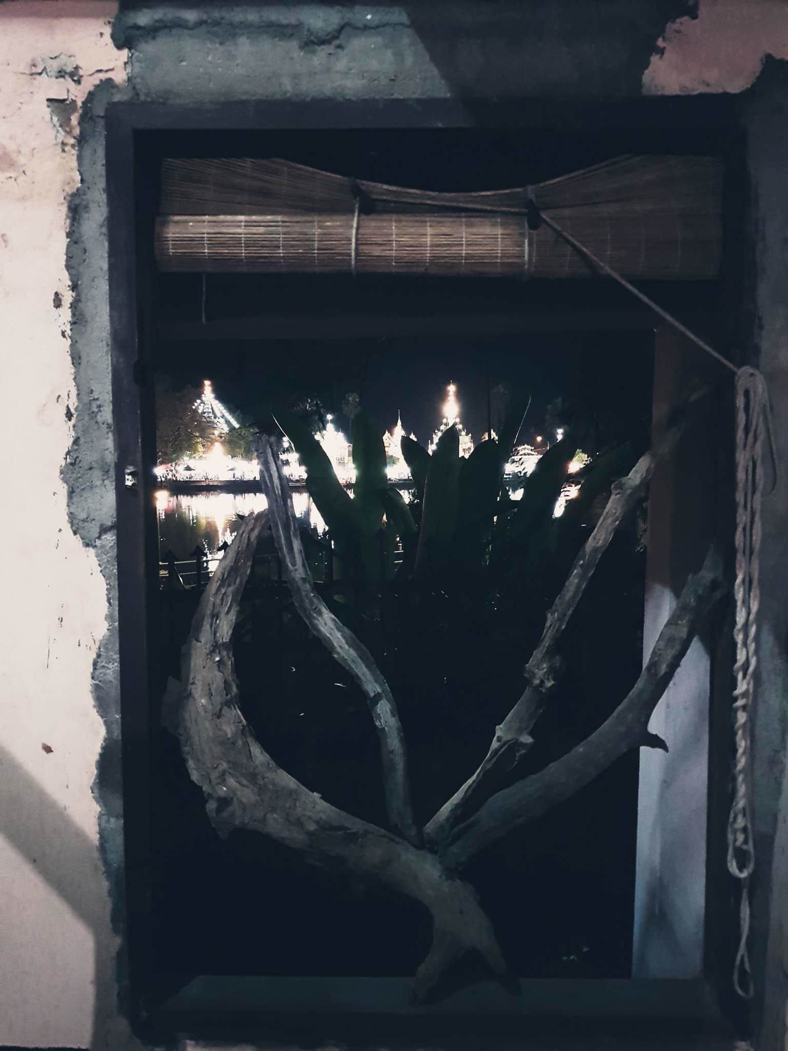 Una ventana con vistas a un edificio iluminado de noche, una rama de árbol en primer plano y una cuerda colgando a la derecha.