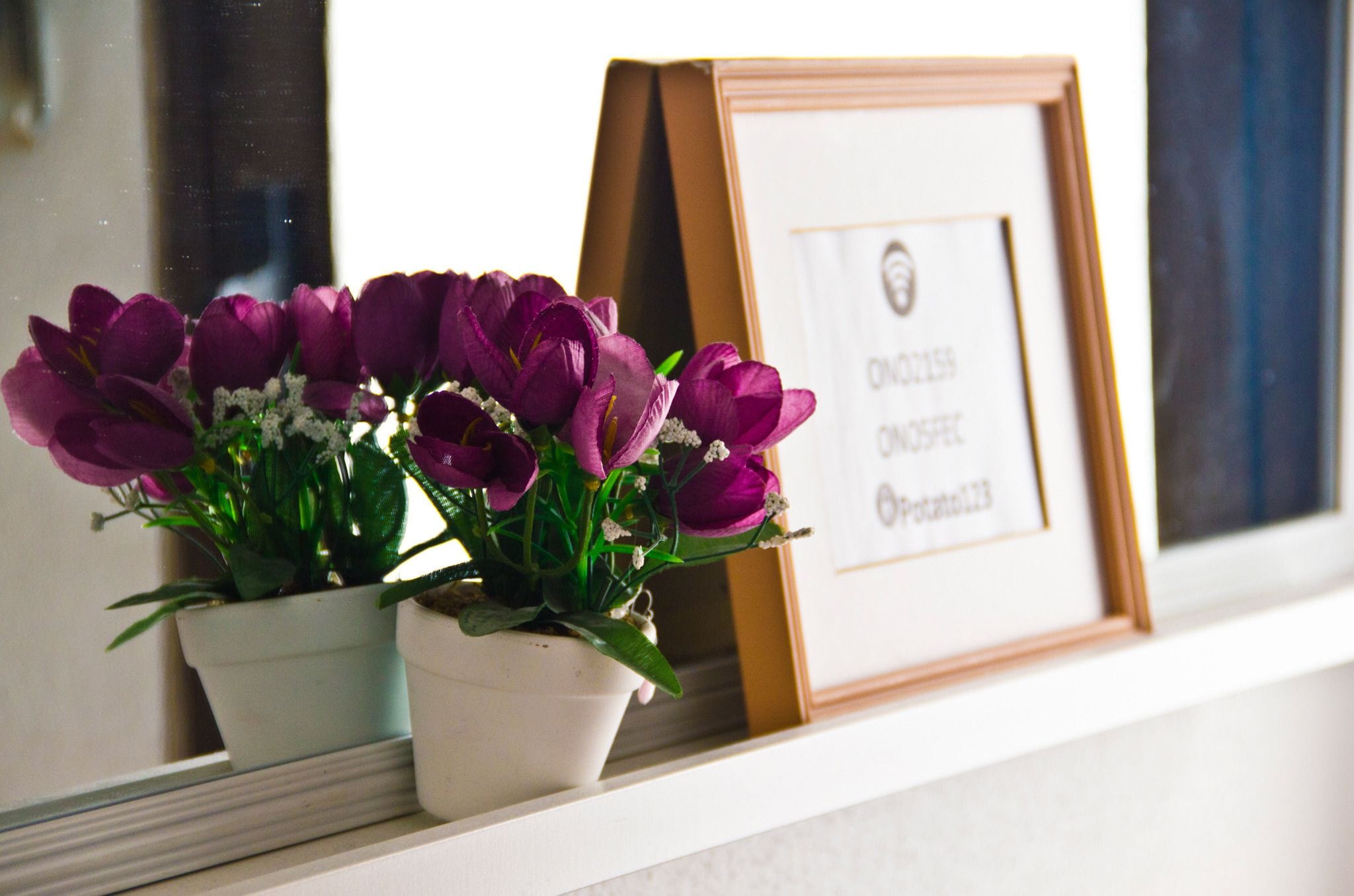 Photo - Roomin Hostel