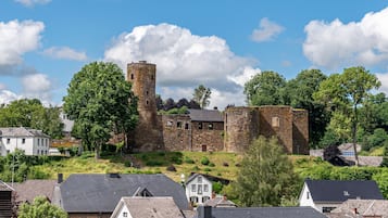 A historic stone castle with a prominent tower, surrounded by lush greenery and residential buildings.