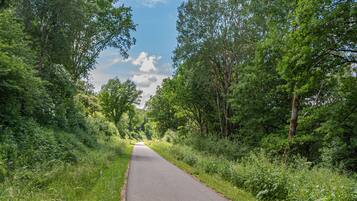 A paved road flanked by dense green foliage.