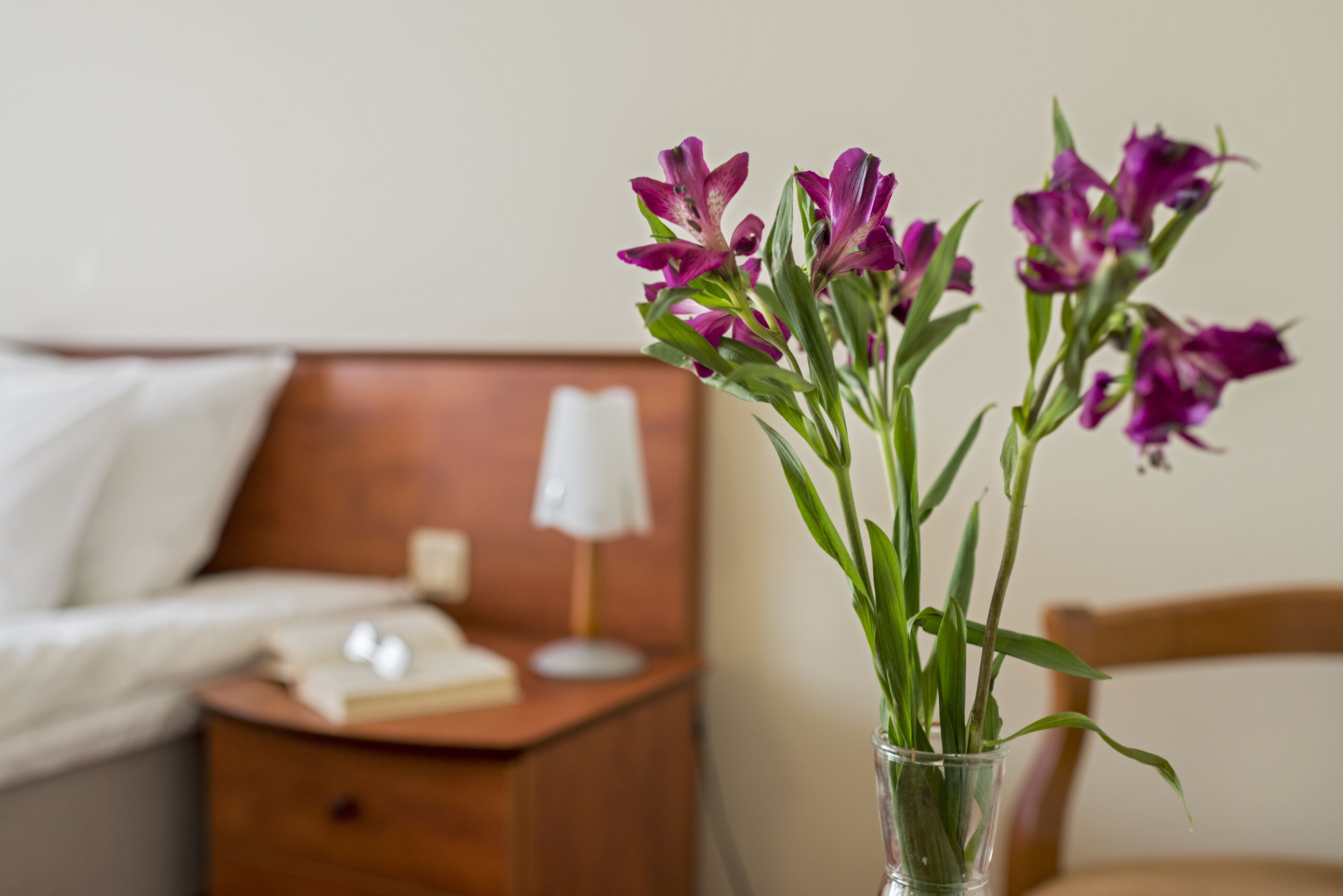 Foto - BEST BALTIC Kaunas