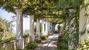 Un sendero en un jardín con columnas blancas y follaje.