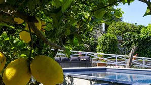 Una piscina con cerca blanca, rodeada de abundante vegetación y un muro de piedra.