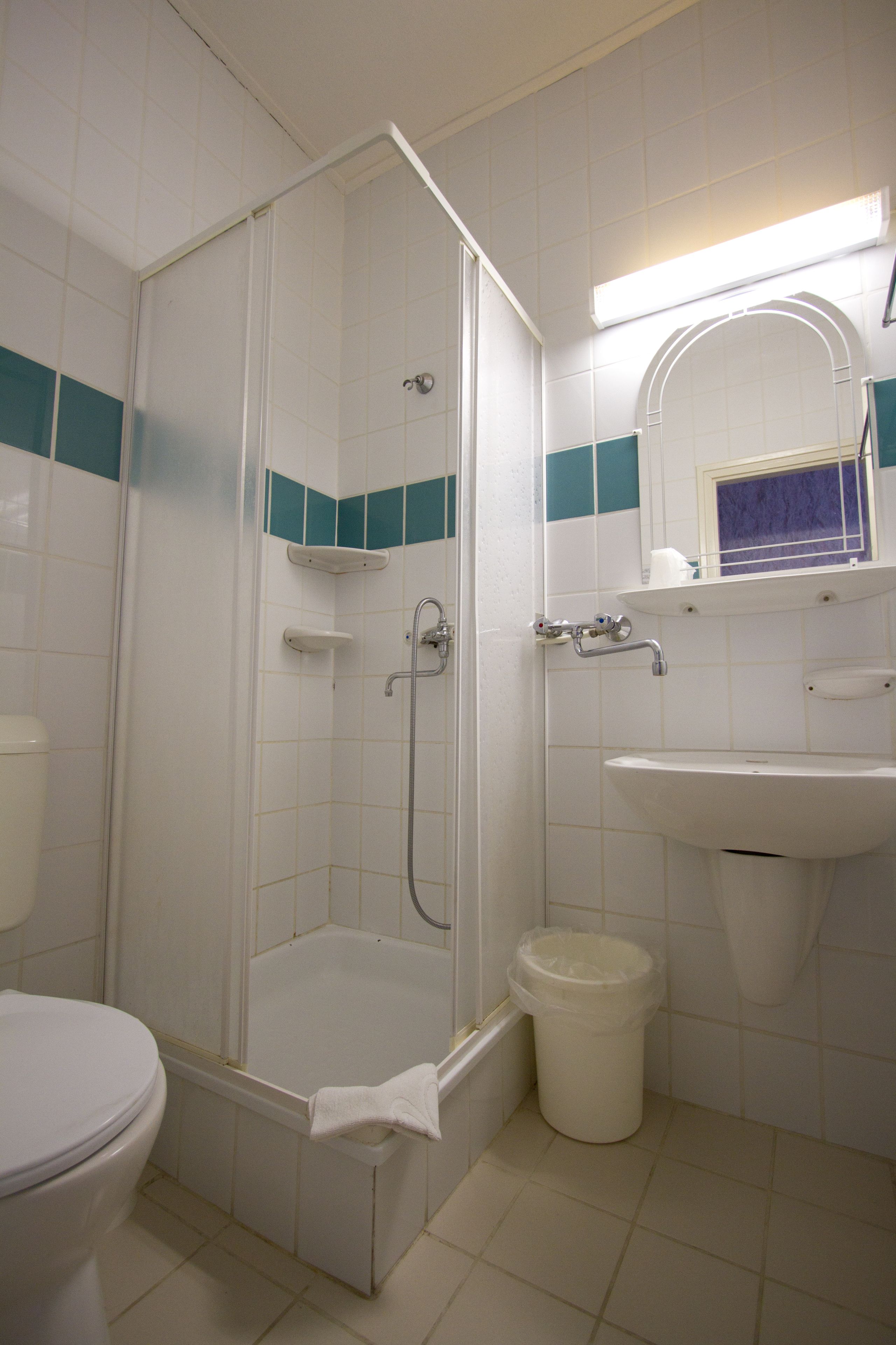 A bathroom with a shower, toilet, sink, and a trash bin.