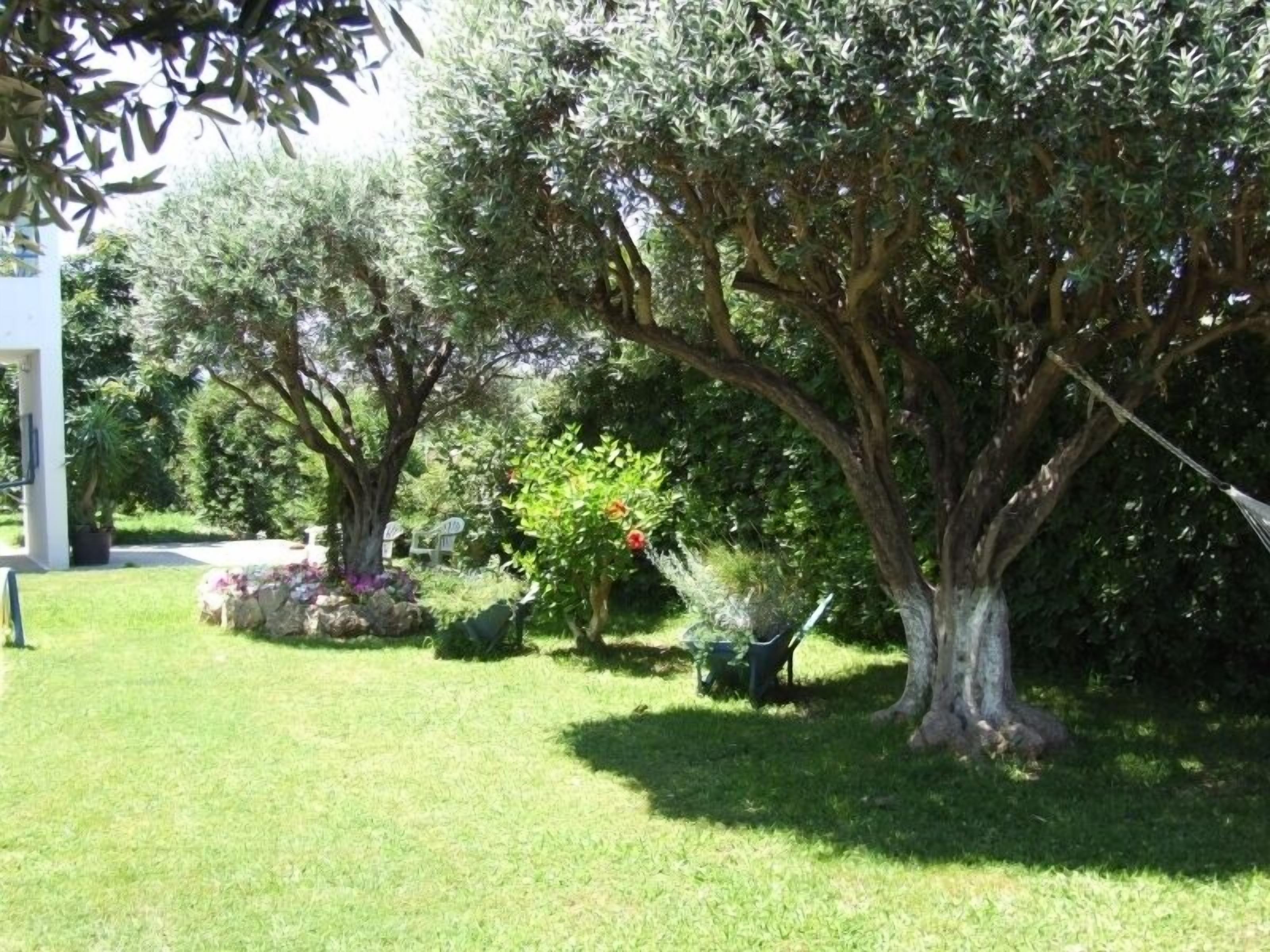 Um jardim com diversas árvores e um edifício branco.
