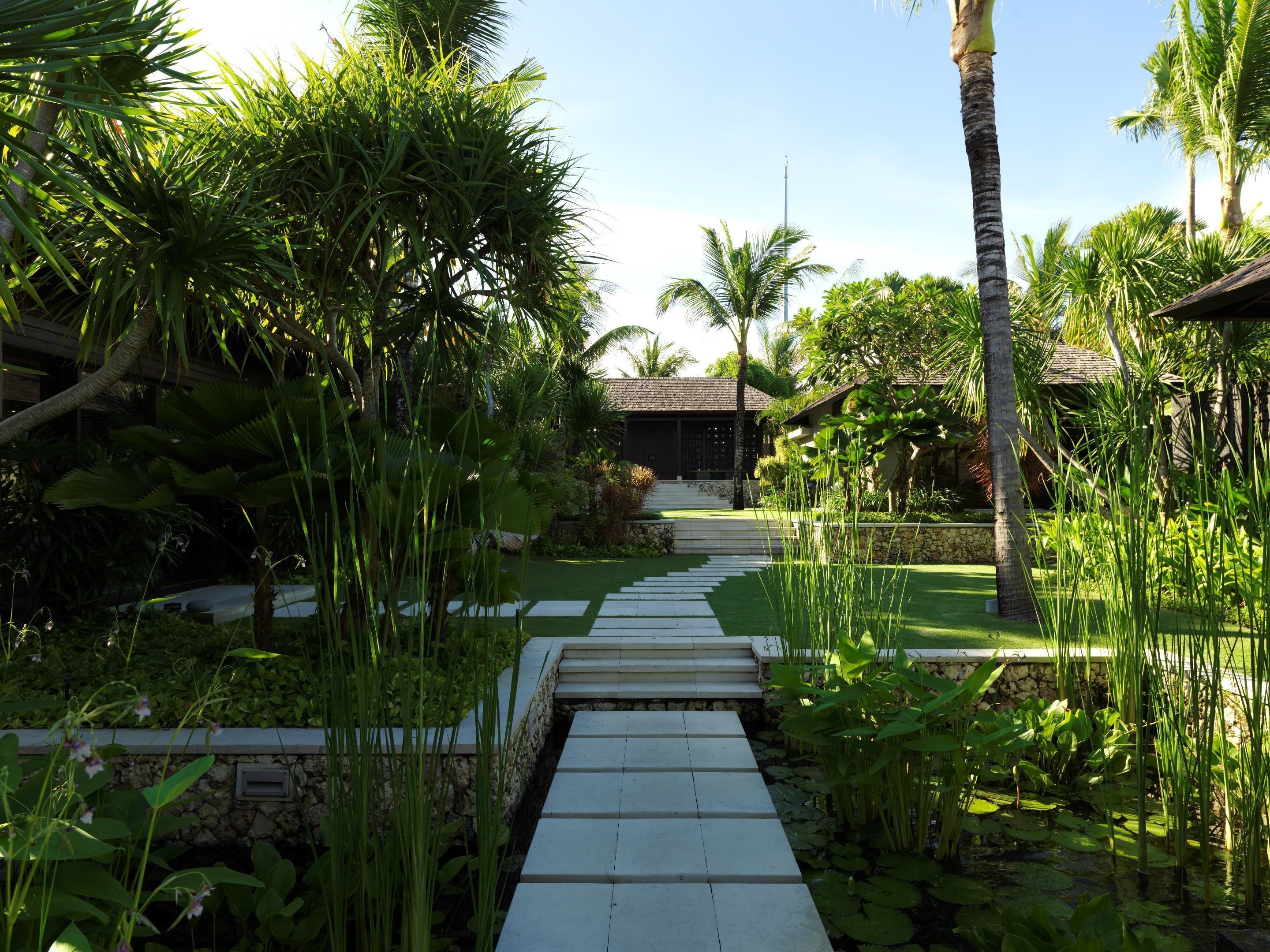 A pathway leading to a building surrounded by lush greenery and palm trees.