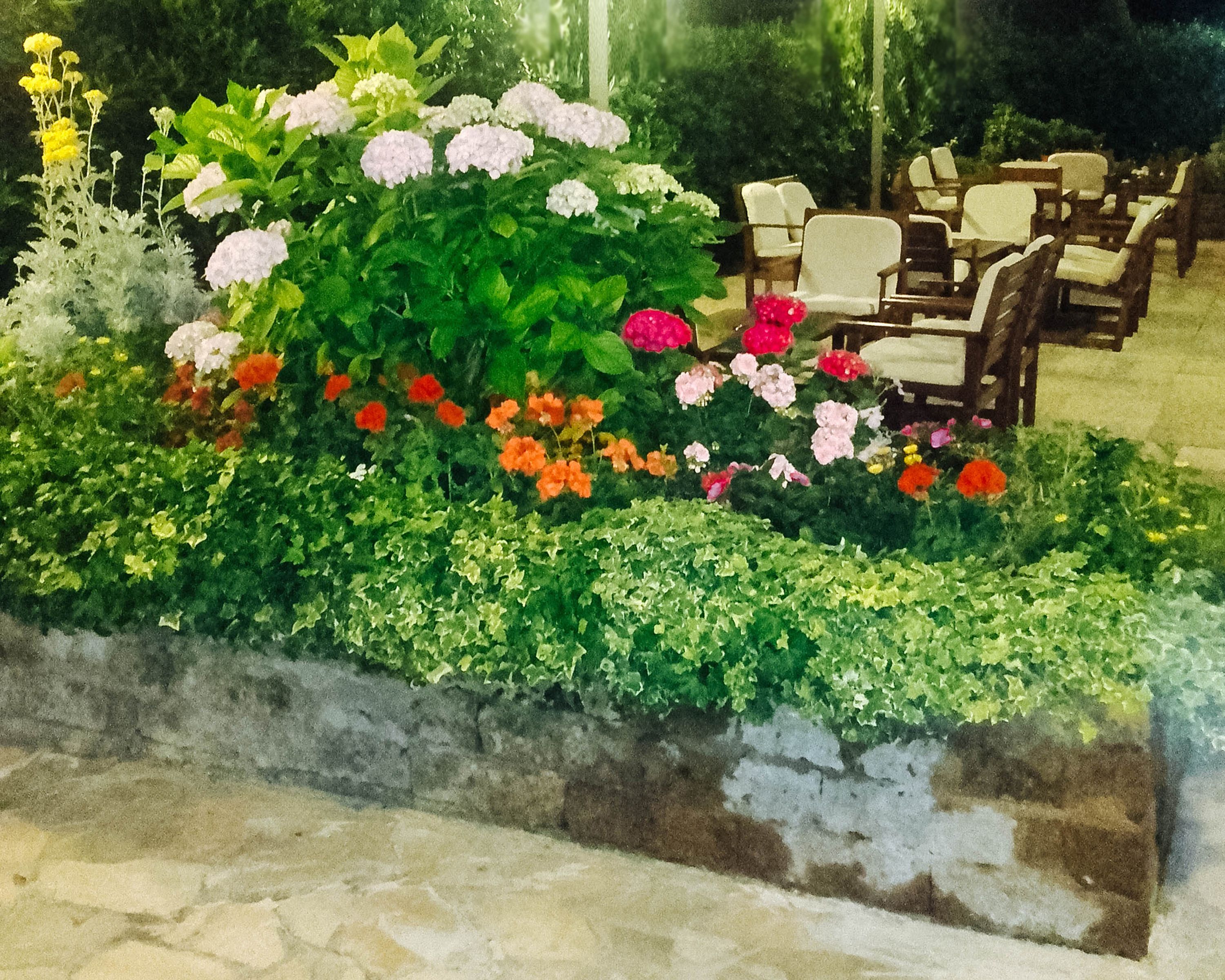 Foto - Hotel Caesar Bed and Breakfast