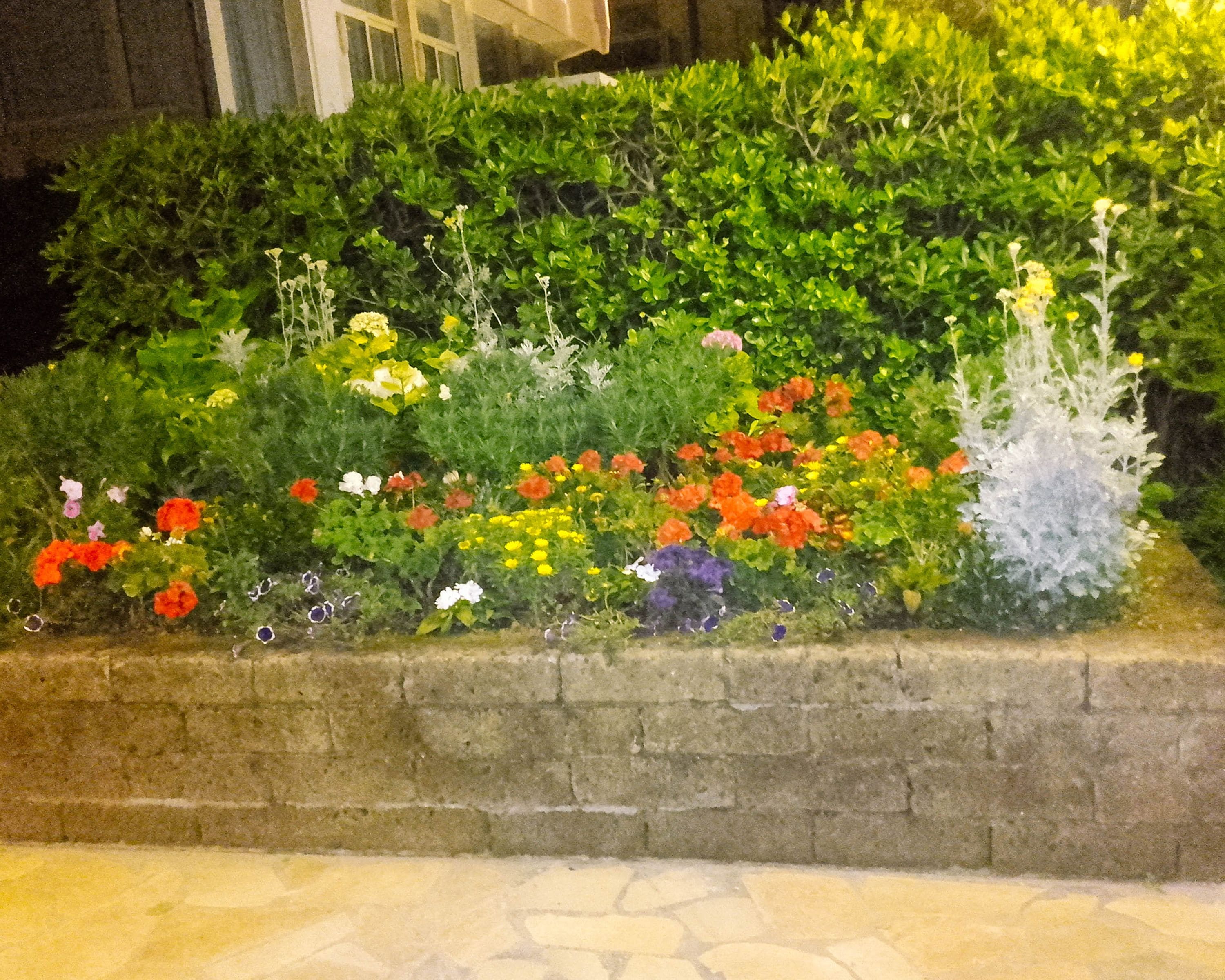 Foto - Hotel Caesar Bed and Breakfast