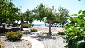 Jardín