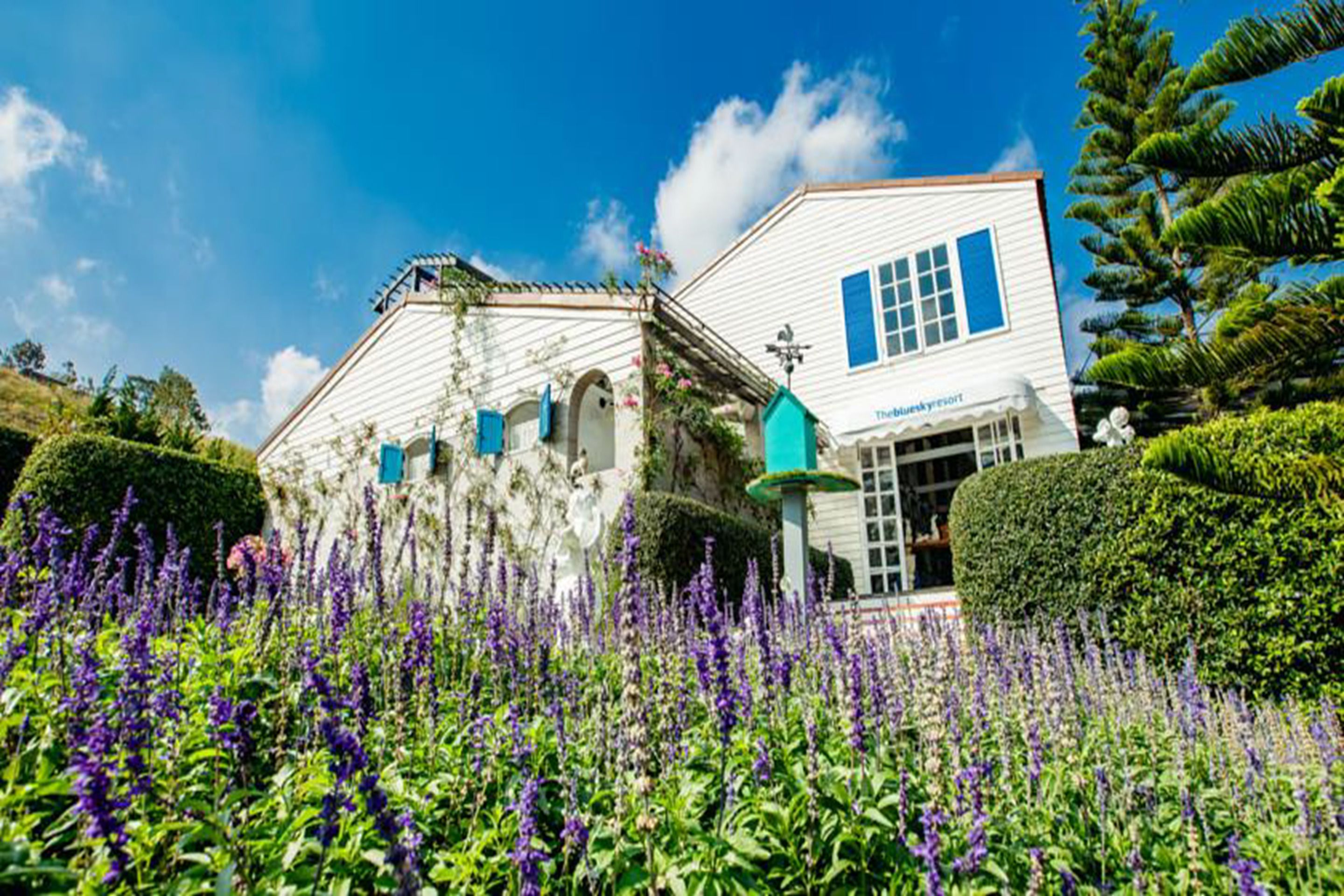 A white building with blue shutters and a sign that reads "The Blueberry Resort."