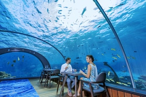 Ein Unterwasserrestaurant mit einer gewölbten Glasscheibe, Tischen, Stühlen und Blick auf im Wasser schwimmende Fische.