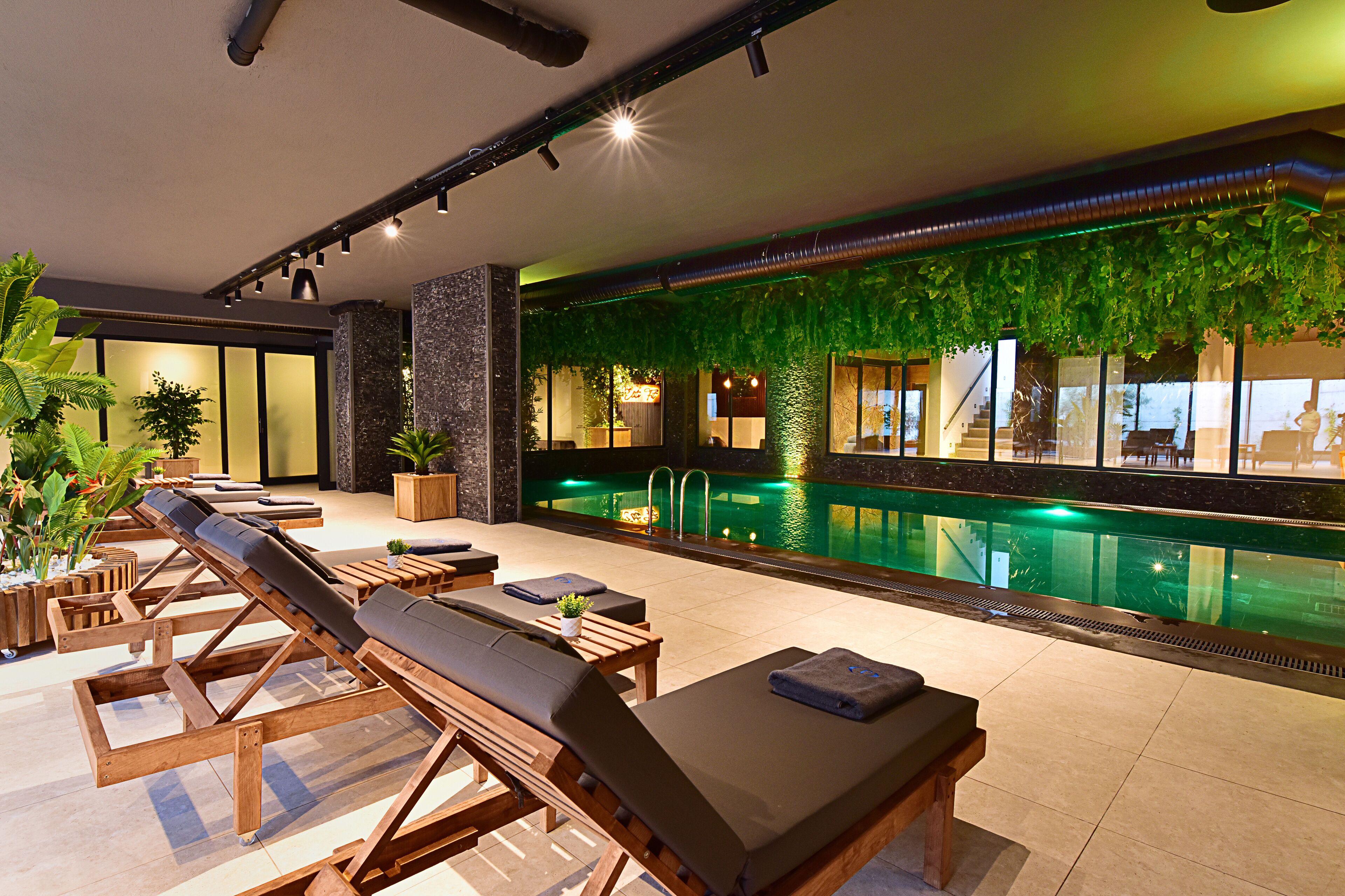A poolside area with sun loungers, a small table with a plant, and a view of a swimming pool.