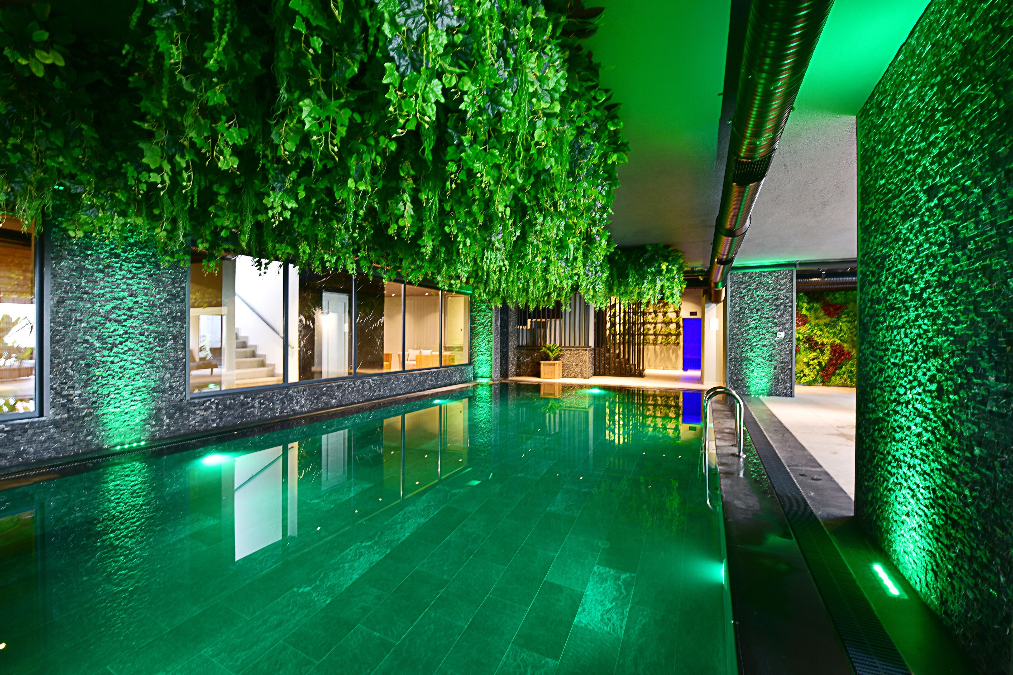 An indoor swimming pool with a glass wall and hanging greenery, surrounded by modern architecture and a stone wall.