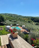 Vista desde la propiedad