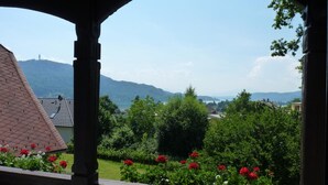 Vista desde un balcón techado con baranda de madera, sobre un jardín con flores rojas y árboles verdes, y un paisaje distante con montañas y una masa de agua.