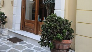 Entrada de hotel con una puerta de madera, una planta en maceta y dos lámparas fijadas a la pared.