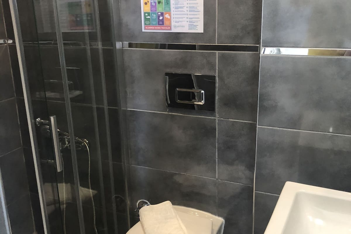 basic quadruple room | bathroom | shower, free toiletries, towels