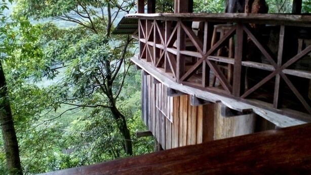 Une structure en bois dotée d’un balcon donnant sur une forêt dense.