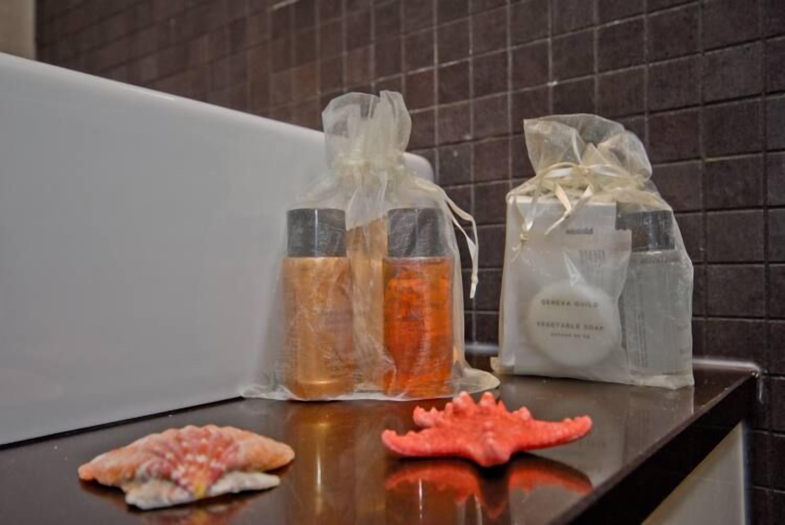 shower, hydromassage showerhead, free toiletries, hair dryer