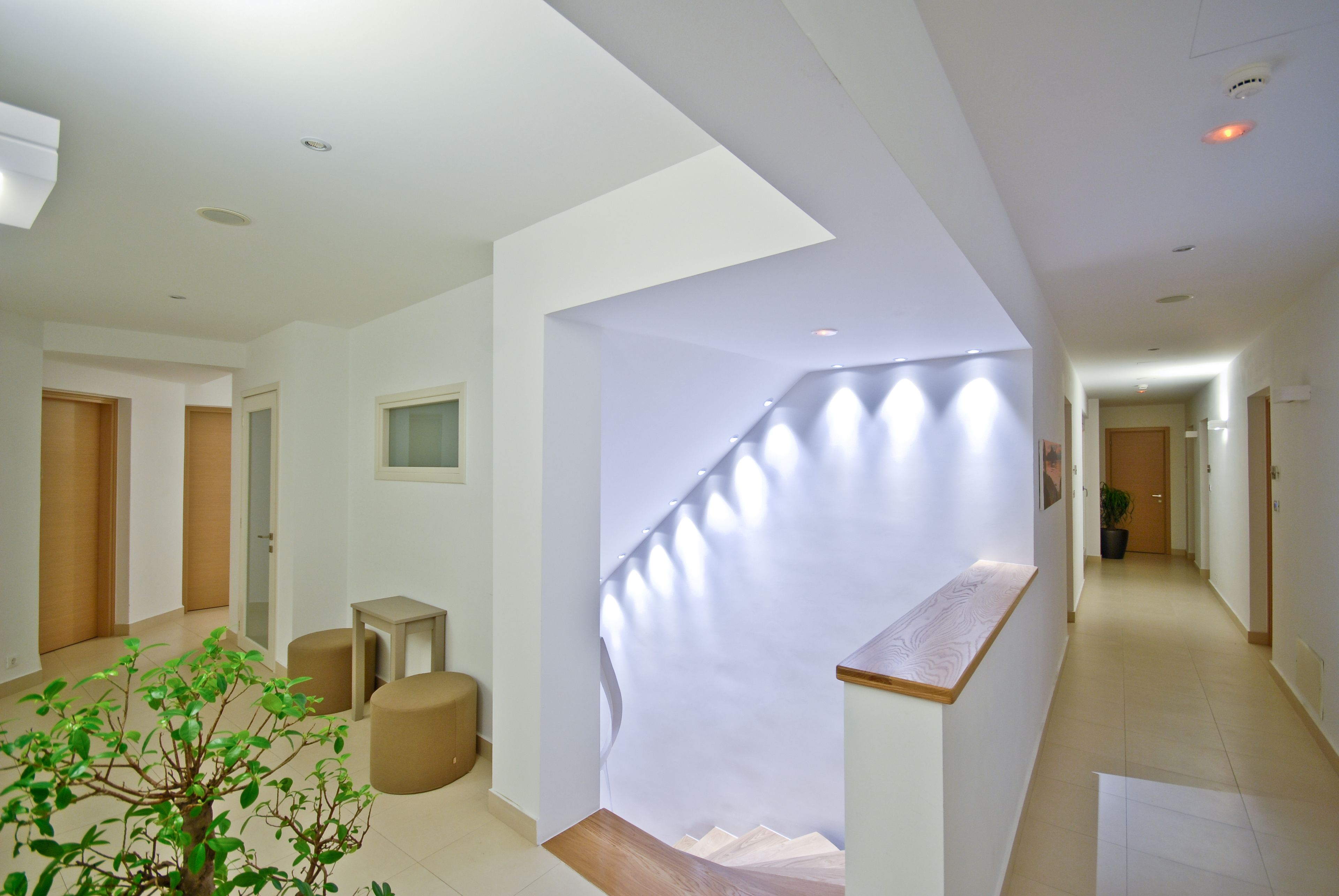 Foto - Xenia Hotel