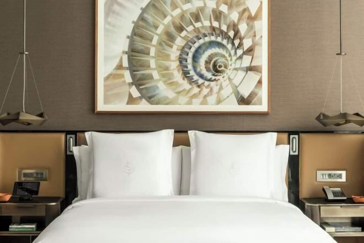 1 chambre, literie de qualité supérieure, couette en duvet d'oie