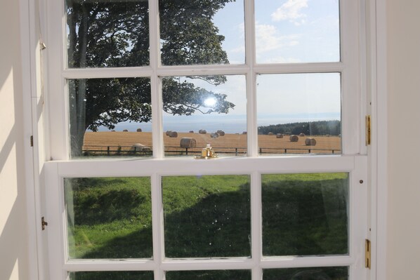 A window with a view of a grassy field and a tree.