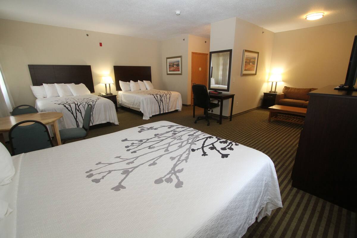 A hotel room with a large bed, two smaller beds, a desk, a chair, a sofa, and a TV.
