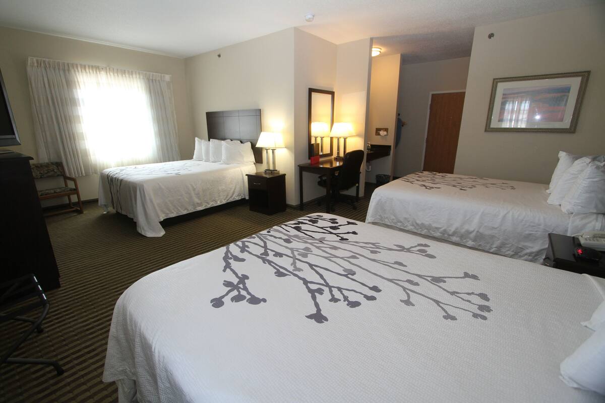 A hotel room with two beds, a desk, a chair, a television, and a framed picture on the wall.