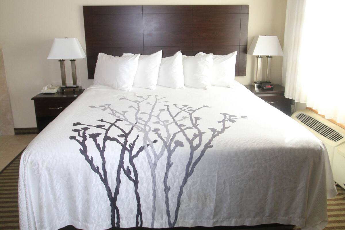 A hotel room with a large bed, two bedside tables with lamps, a headboard, and a window with curtains.