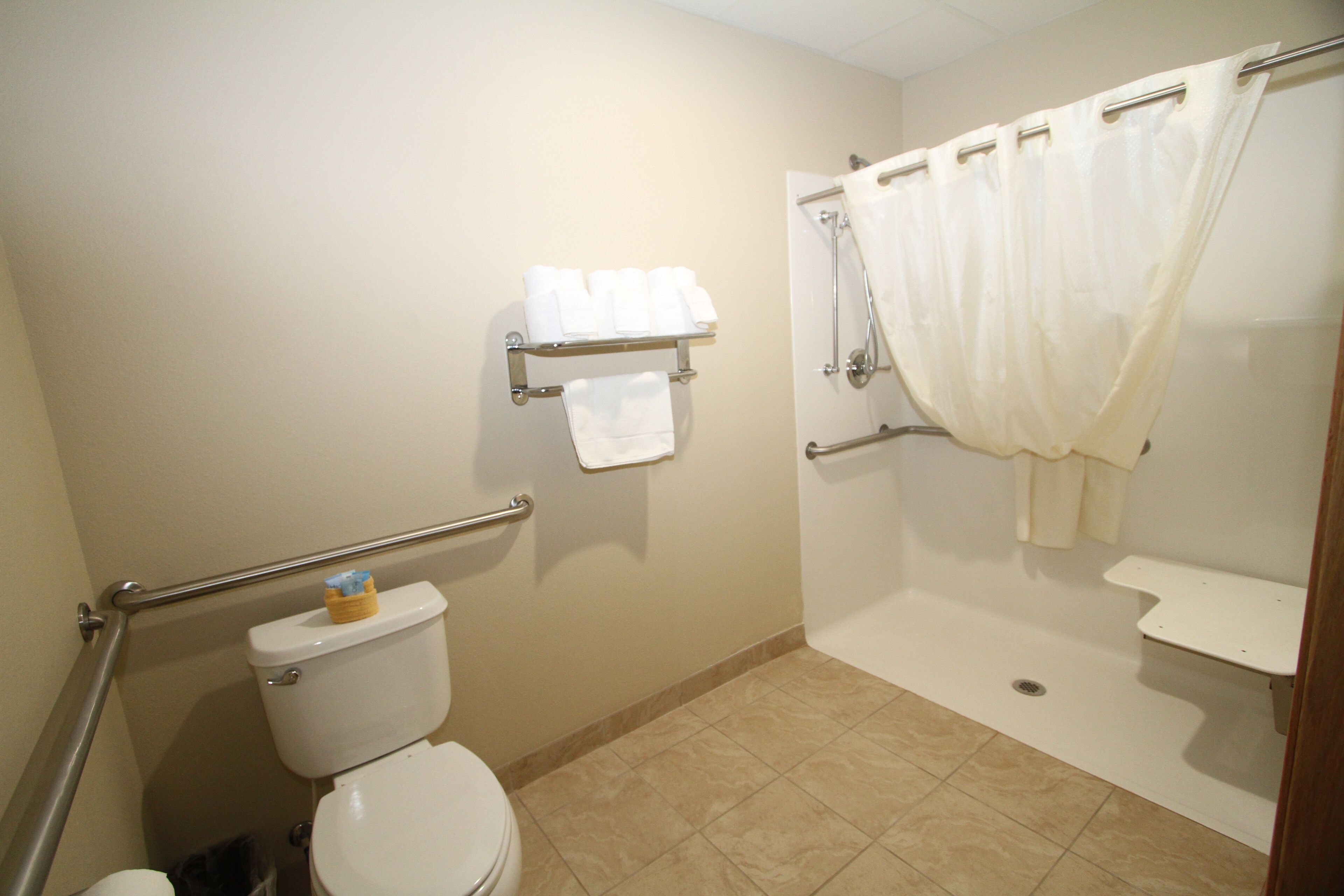 room, 1 queen bed, accessible, non smoking | bathroom | combined shower/bathtub, hair dryer, towels