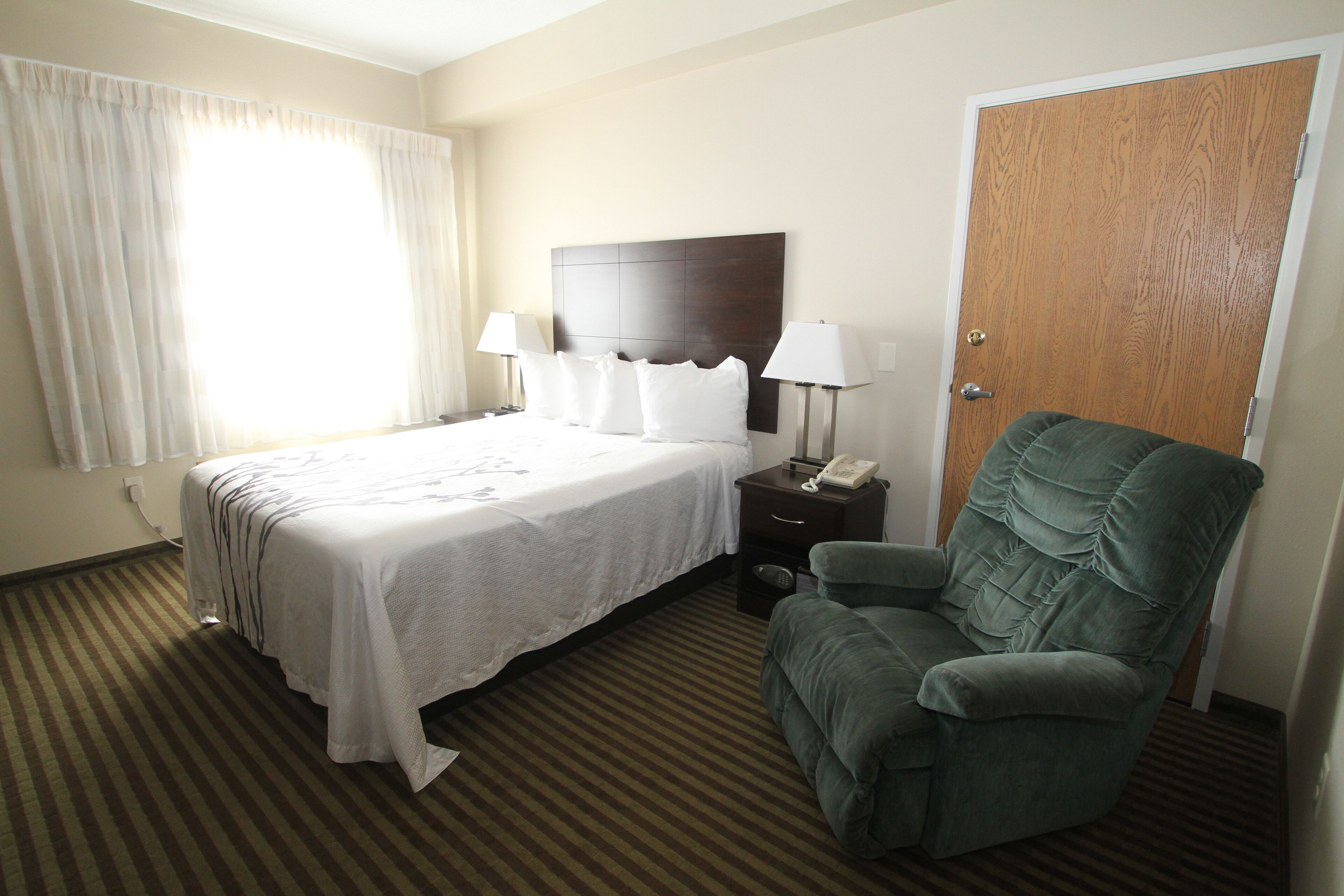 room, 1 queen bed, accessible, non smoking | desk, soundproofing, iron/ironing board, free wifi