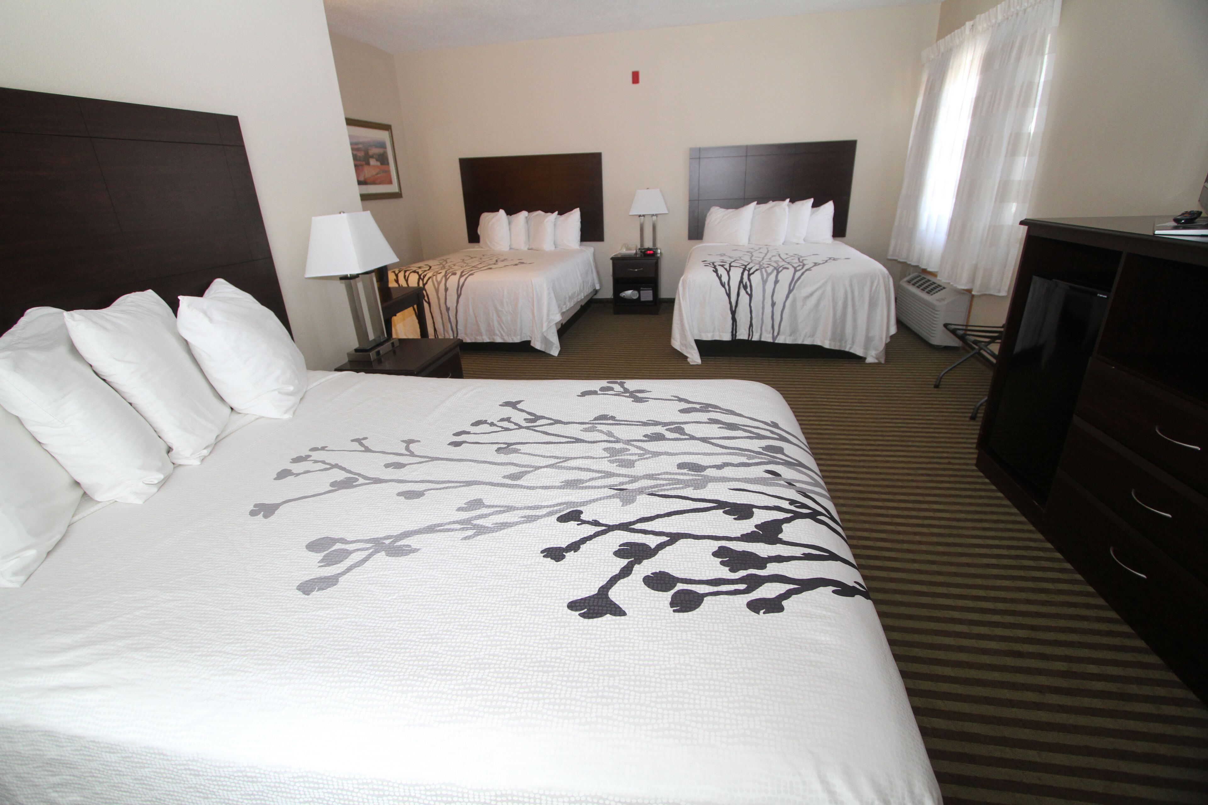 desk, soundproofing, iron/ironing board, free wifi