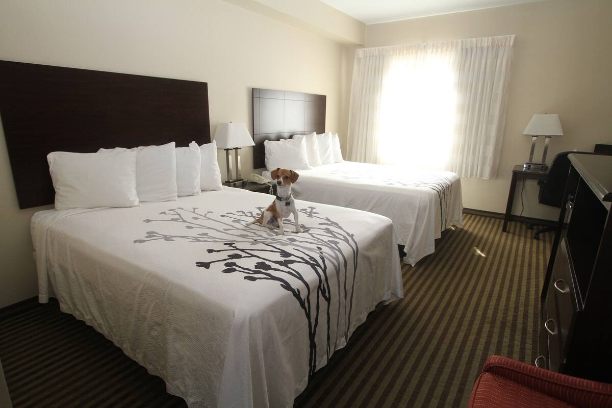 A hotel room with two beds, a desk, a chair, a TV, and a window with curtains.
