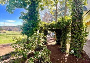 Un sendero de jardín con un arco natural formado por plantas trepadoras, que lleva a una casa.