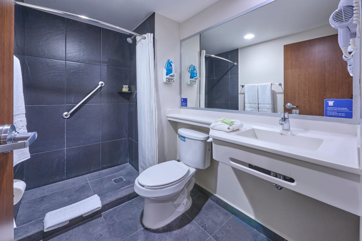 shower, free toiletries, hair dryer, towels