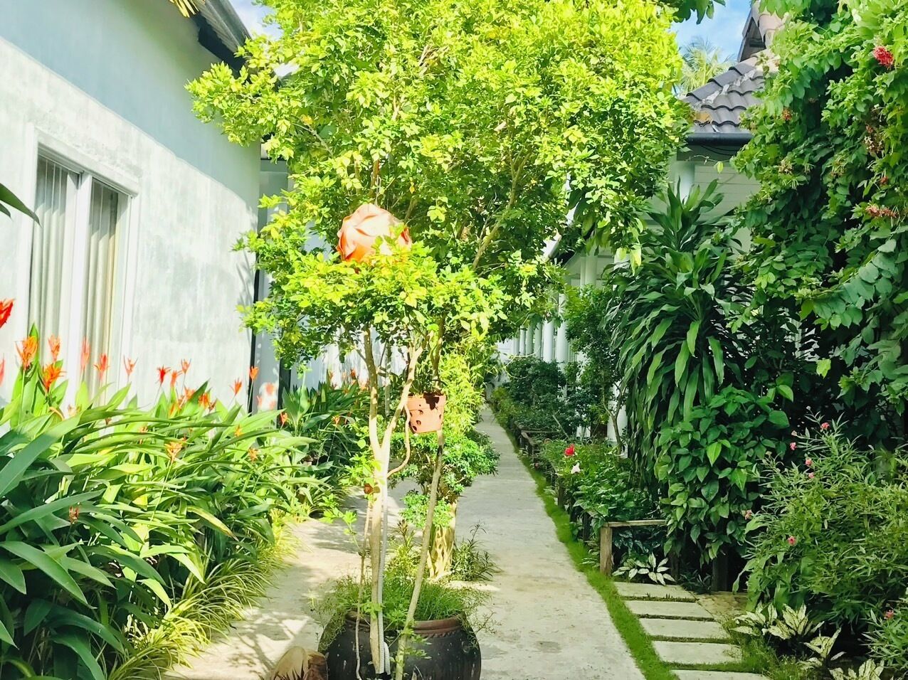 Foto - Sunlight Bungalow