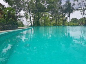 Una piscina cristalina rodeada de abundante vegetación y árboles.