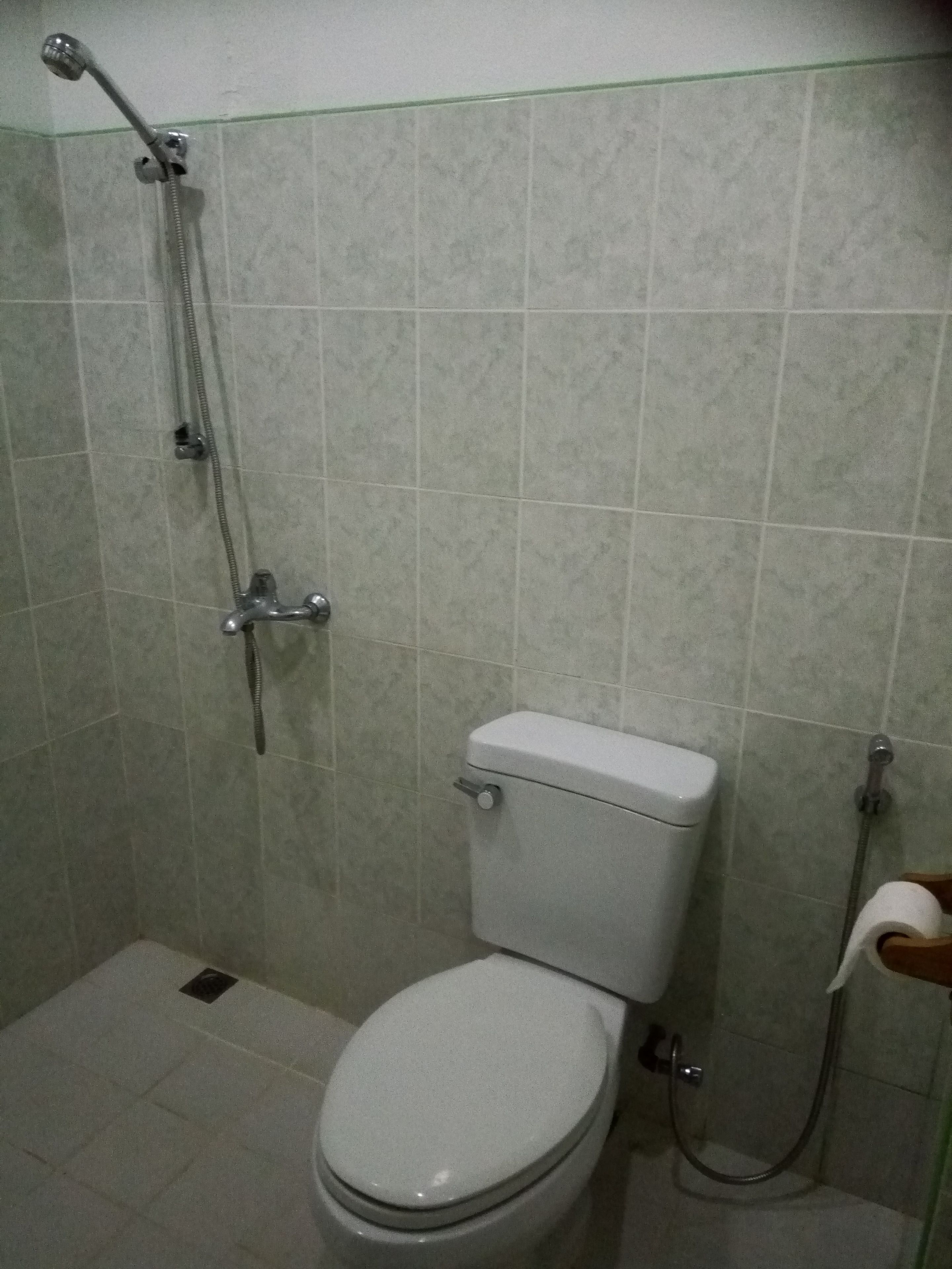 suite, 1 king bed | bathroom | shower, free toiletries, towels