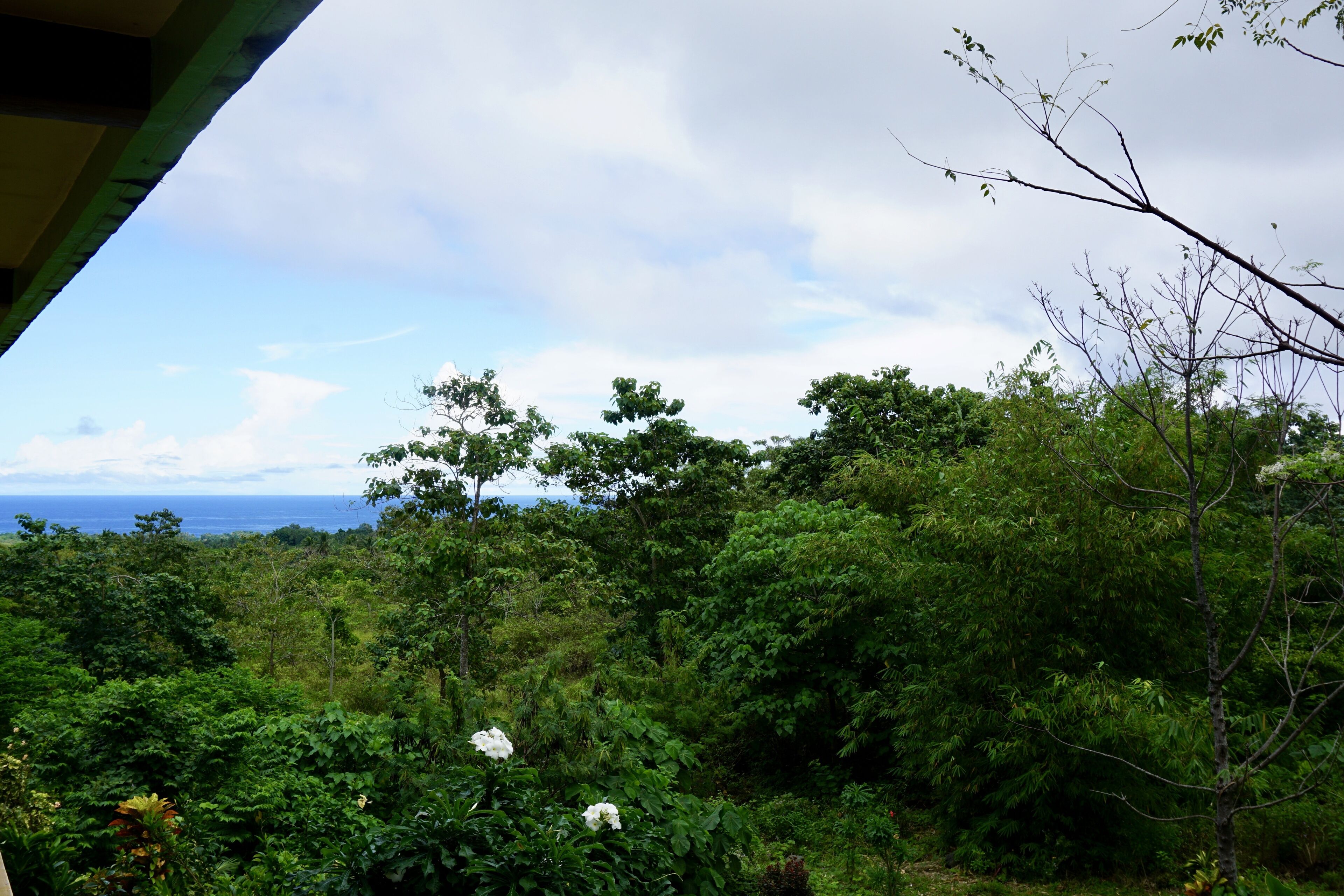 deluxe suite, 2 queen beds, balcony, partial ocean view | balcony