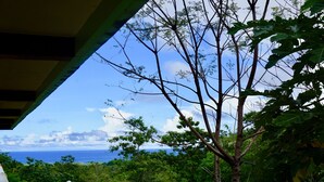 Vista da un’area riparata su un paesaggio rigoglioso con un albero e vegetazione fitta.